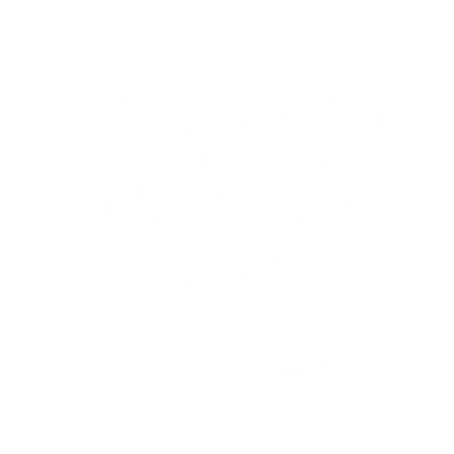 The Primal Project