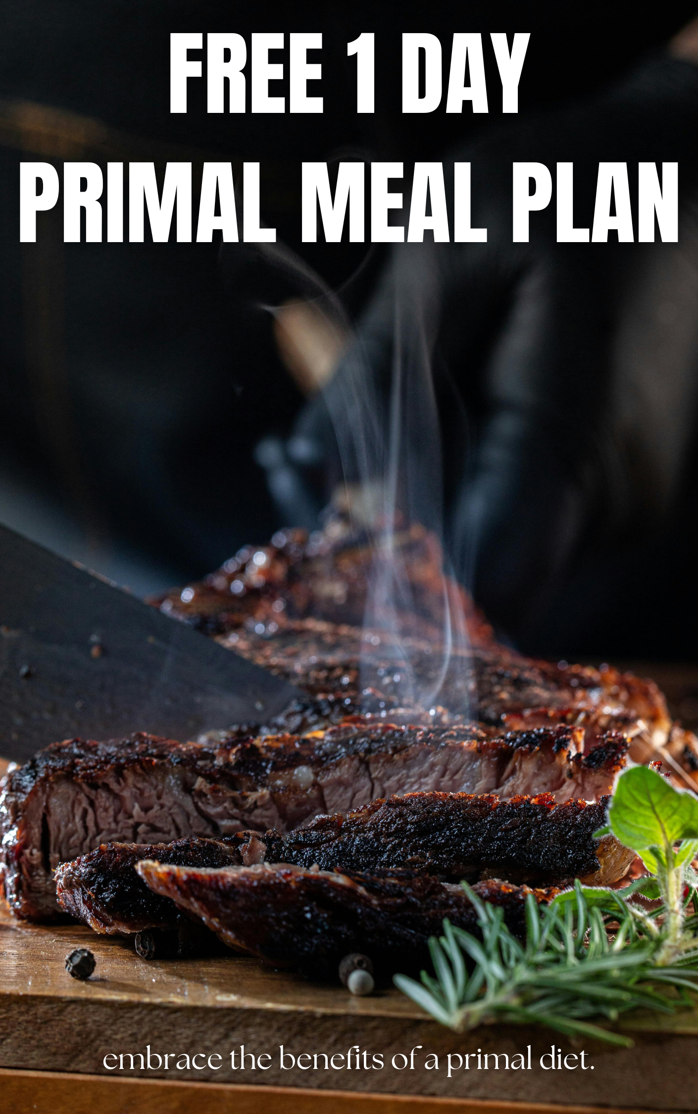 FREE 1-DAY PRIMAL MEAL PLAN